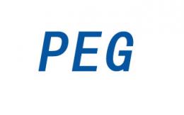 PEG佩格企业管理咨询（广州）有限公司